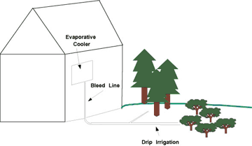 An example of a bleed line that connects to drip irrigation